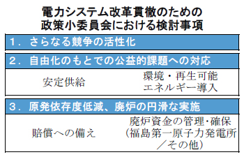 電力システム改革貫徹のための政策小委員会における検討事項